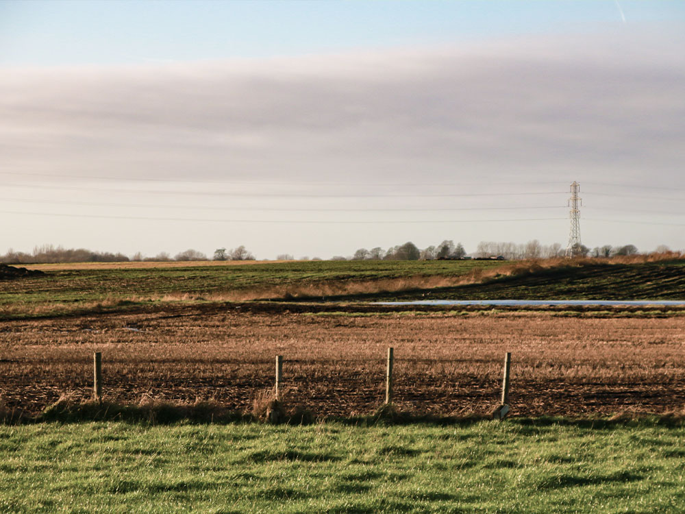 Notre engagement envers la terre