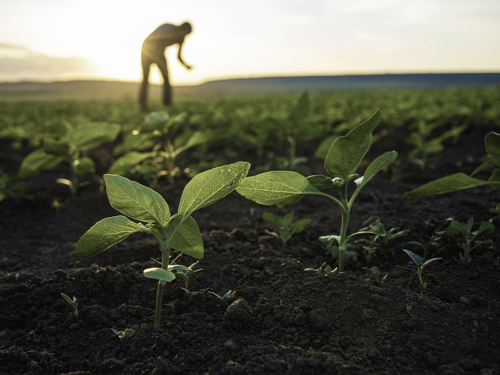 Une clientèle diversifiée, une approche personnalisée