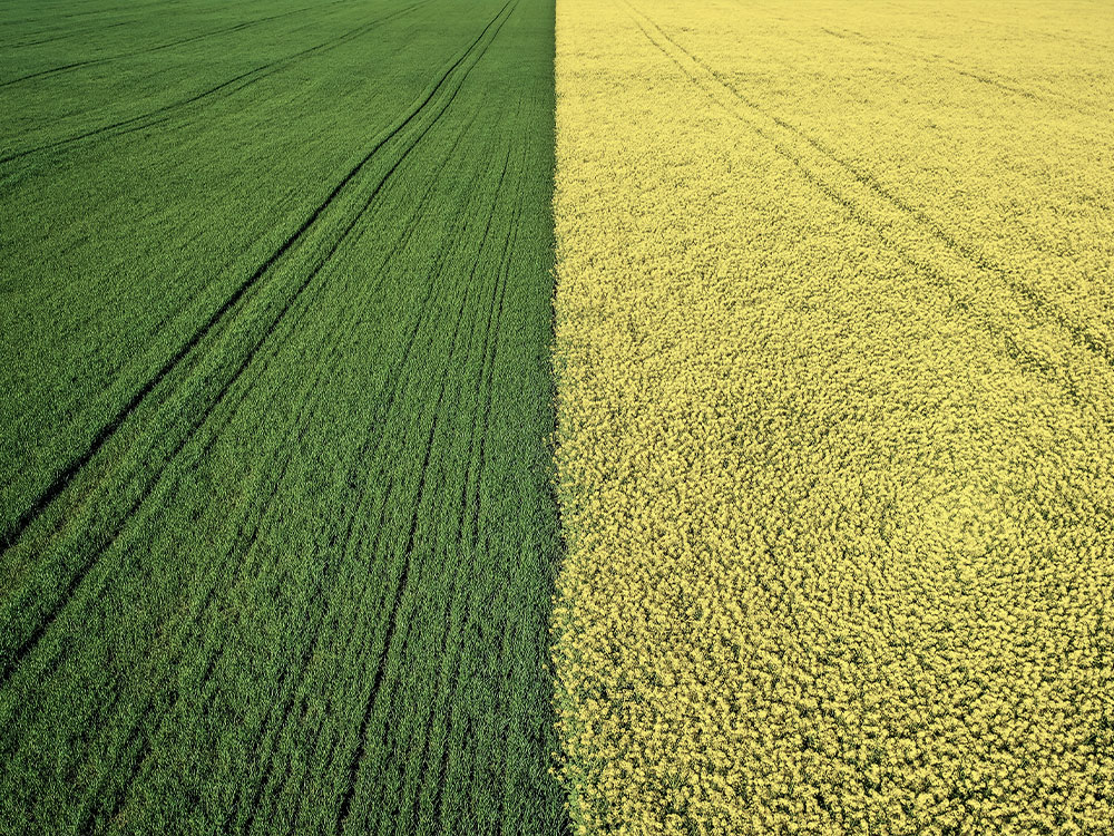 Produits végétaux et semences