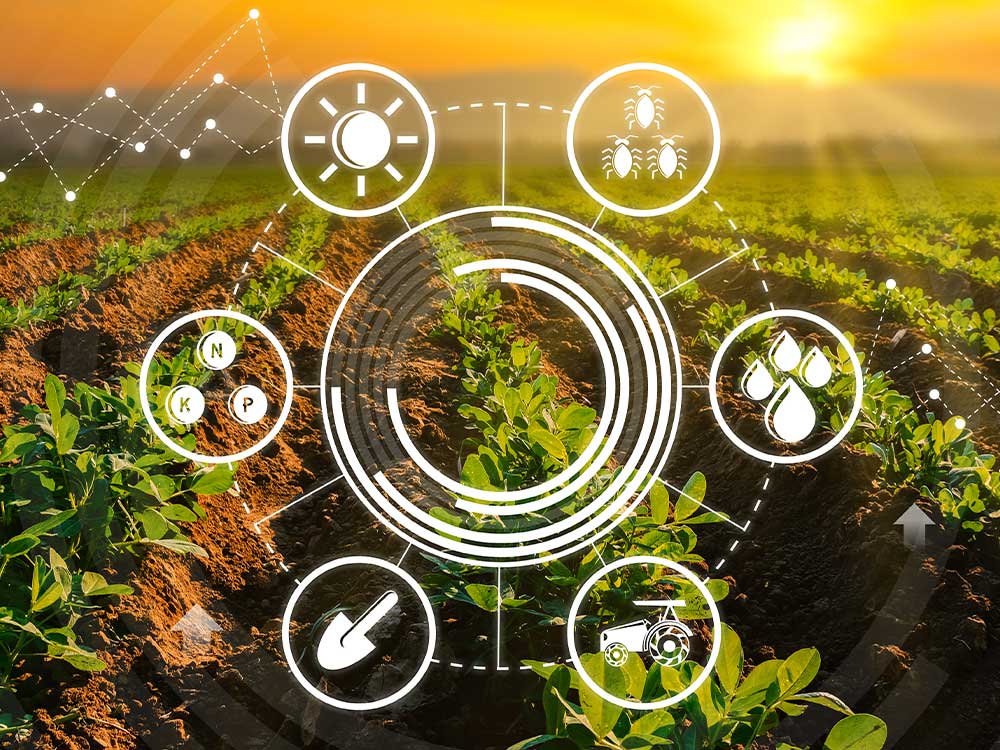 La santé de ses cultures