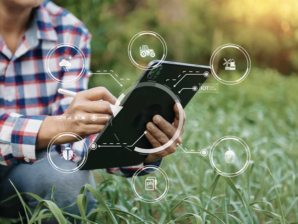 Service conseil agricole